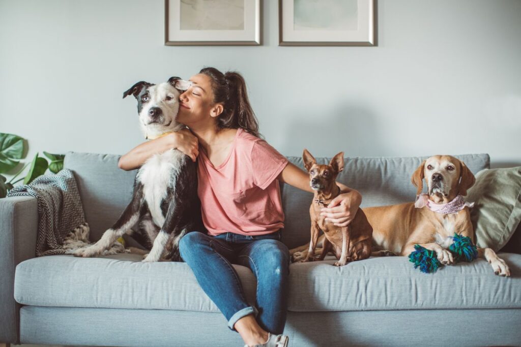 pet care